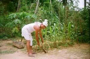 r-primary culture  03.jpg